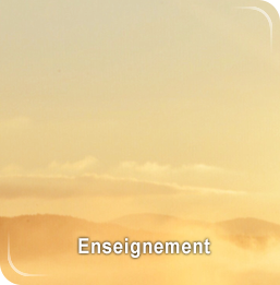 Lien vers les rubriques de l'enseignement